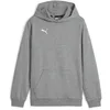 Image de Puma Garçon Teamgoal Casuals Sweat À Capuche Jr Pull, Gris Moyen Chiné/Blanc Puma, 152 EU