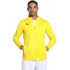 Image de PUMA Teamgoal Veste d'entraînement unisexe