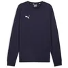 Image de PUMA Teamgoal Casuals Pull en Tricot à col Rond pour Homme