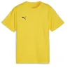 Image de PUMA Maillot teamGOAL Jr