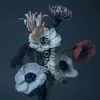 Image de L’impermanence