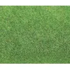 Image de Faller - F180755 - Modélisme - Tapis - Vert Clair - Gazon
