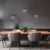 Image de Knapstein Sidra Suspension LED, 6 sources lumineuses, 51.529.07,