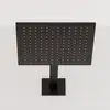 Image de Steinberg Sensual Rain Douche de tête, 1 jet, 120 1686 S,