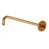 Image de Steinberg Sensual Rain Bras de douche, 100 7910 RG,