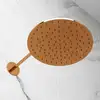 Image de Steinberg Sensual Rain Douche de tête, 1 jet, 100 1688 RG,
