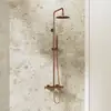 Image de Steinberg 250 Colonne de douche en applique avec mitigeur thermostatique, 250 2721 RG,