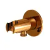 Image de Steinberg 100 Support de douchette avec raccord de flexible, 100 1667 RG,