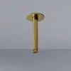 Image de Steinberg Sensual Rain Bras de douche, 100 1571 BG,