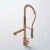Image de Steinberg 100 Mitigeur de cuisine pivotant, 100 1480 BC,