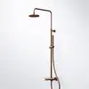 Image de Steinberg 250 Colonne de douche en applique avec mitigeur thermostatique, 250 2721 BC,