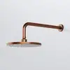 Image de Steinberg 340 Bras de douche, 340 7900 BC,