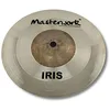 Image de Masterwork Iris Splash 20,3 cm