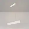 Image de Maytoni Step Suspension LED, P010PL-L23W,