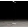 Image de Holtkötter Supernova Lampadaire LED, 2145-1-8,