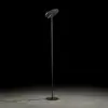 Image de Holtkötter Naxos Lampadaire à éclairage indirect, LED, 9940-1-55,