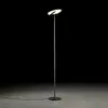 Image de Holtkötter Naxos Lampadaire à éclairage indirect, LED, 9940-1-62,