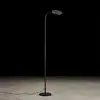 Image de Holtkötter Vince Lampadaire LED, 2040-1-55,