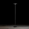 Image de Holtkötter Nova Lampadaire à éclairage indirect, LED, 9906-2-62,