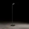 Image de Holtkötter Plano Lampadaire, LED, 9659-1-62,