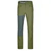 Image de ORTOVOX Brenta Pantalon M Wild Herbs 20 pour Homme