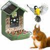 Image de Easypix BirdyCam Soldes été 2026
