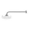 Image de Avenarius Universal Bras de douche, 9006958010,
