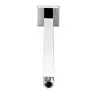 Image de Avenarius Universal Bras de douche, 9006962010,