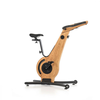 Image de Waterrower Nohrd Bike Chêne Beige