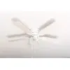 Image de Kisa Deluxe Ceiling Fan 105 cm White Blade White / Maple Including Lighting and Pull Switch