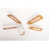 Image de Kisa Deluxe Ceiling Fan 105 cm White Wing Oak / Walnut Including Lighting and Pull Switch
