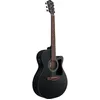 Image de Ibanez Acoustic Guitar / VC44CEWK
