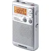 Image de Sangean DT-250 Radio Digitale stéréo AM/FM Haut-Parleur intégré Horloge Argent SG0033