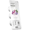 Image de Click and Grow Recharge Triple de Pétunias pour Smart Garden