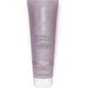 Image de Natura Siberica - Masque Capillaire Vegan Brillance et Réparation Cheveux colorés Masque et cure cheveux 200 ml unisex