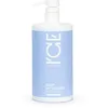 Image de NATURA SIBERICA ICE KEEP MY BLONDE MASCARILLA CAPILAR 750ML