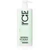 Image de Natura Siberica ICE Professional Refresh My Scalp shampoing purifiant détoxifiant 1000 ml