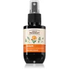 Image de Green Pharmacy Calendula & Rosemary Serum sérum pour cheveux gras 100 ml