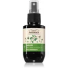 Image de Green Pharmacy Birch Buds & Castol Oil Care Serum sérum anti-pelliculaire 100 ml