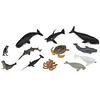 Image de Collecta Animaux Tube Mini Marin 2 Boîte Mini Figurine