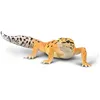 Image de Collecta Deqube 90180043 Gecko Léopard Figurine à Collectionner Taille L +3