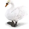 Image de Collecta Figurine De Cygne