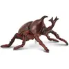 Image de Collecta Scarabé Rinoceronte