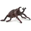Image de Collecta Figurine De Scarabée Rhinocéros