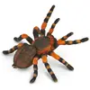 Image de Collecta - 3388338 - Figurine - Insectes - Mygale