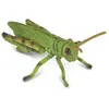 Image de Collecta Figurine De Sauterelle