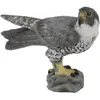 Image de Collecta Figurine De Faucon Pèlerin