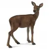 Image de Collecta Figurine De Cerf