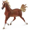 Image de Collecta Choeur D´étalons Arabes