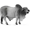 Image de Collecta Figurine De Toro Brahmna